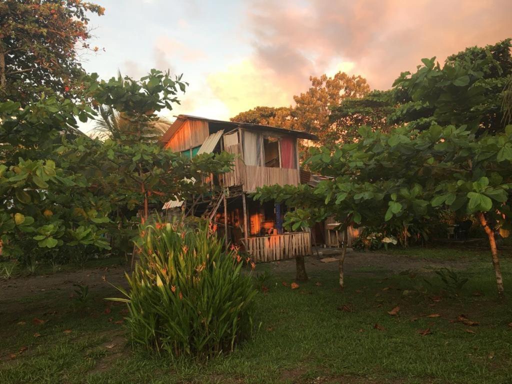 Hotel Miguel Surf Camp Quepos Esterno foto
