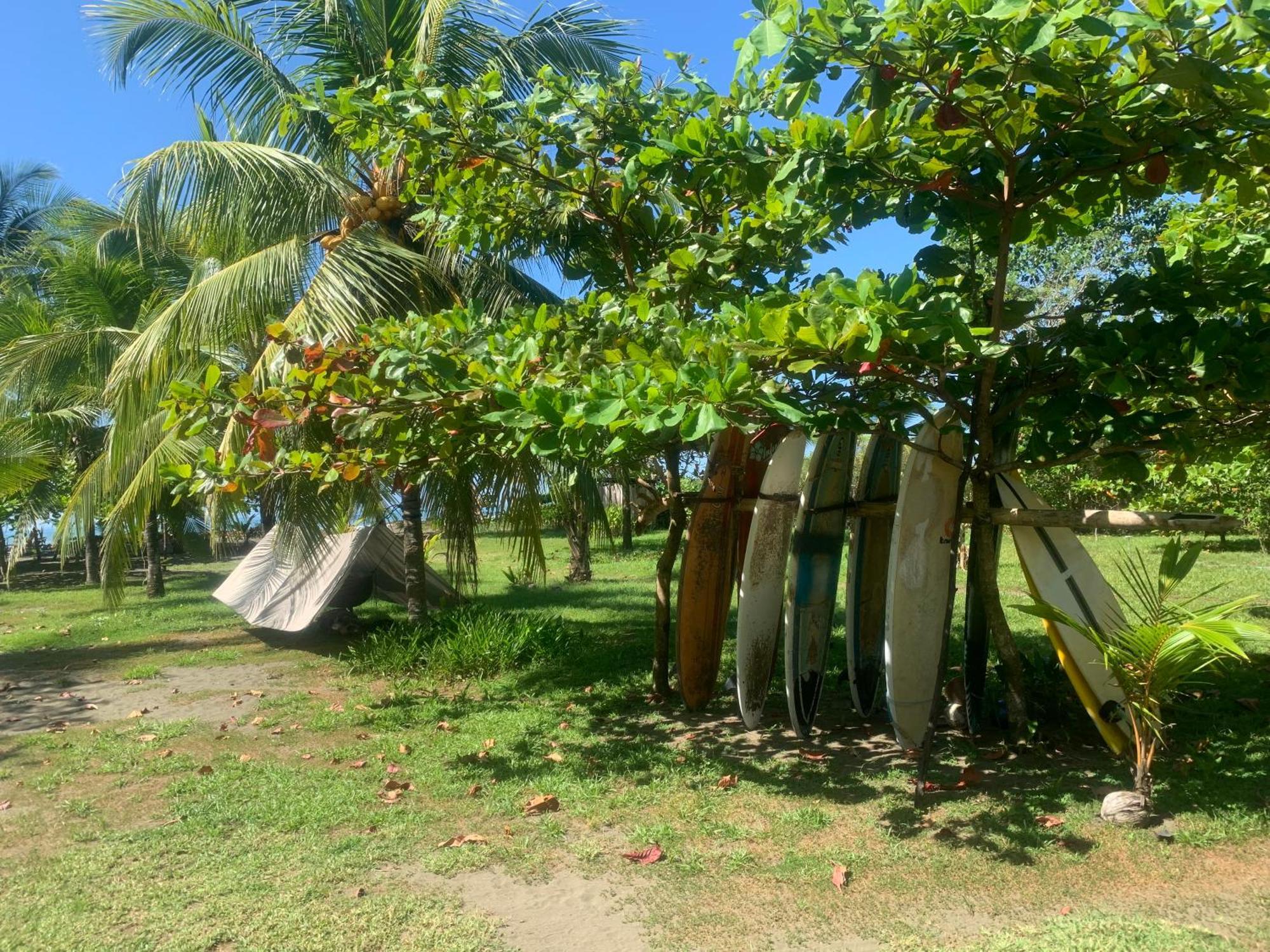 Hotel Miguel Surf Camp Quepos Esterno foto