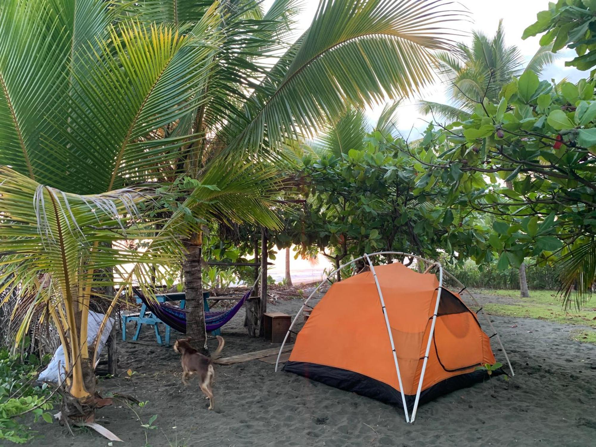 Hotel Miguel Surf Camp Quepos Esterno foto